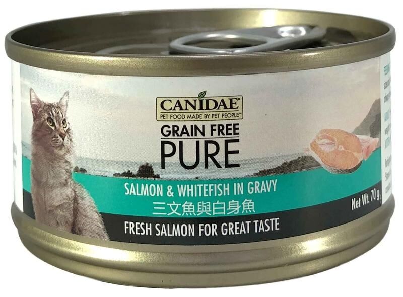 Canidae Wet Cat Food Pure Salmon Whitefish in gravy 70g ePet