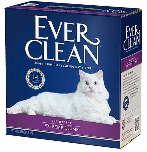 Clear cat clearance litter