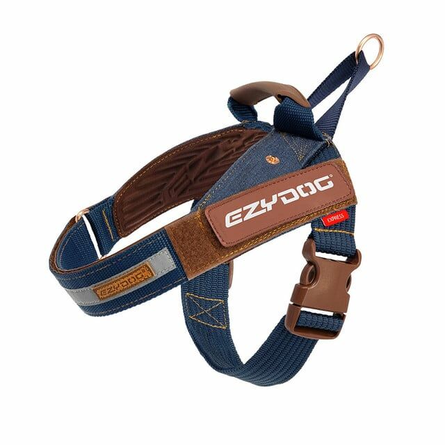 Ezydog hotsell denim collar