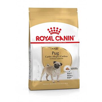 Royal Canin Dog Food - Pug Adult