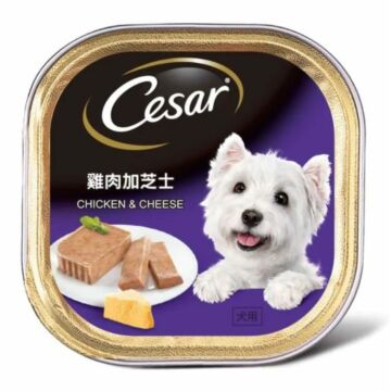 Cesar Dog Wet Food - Chicken & Cheese 100g