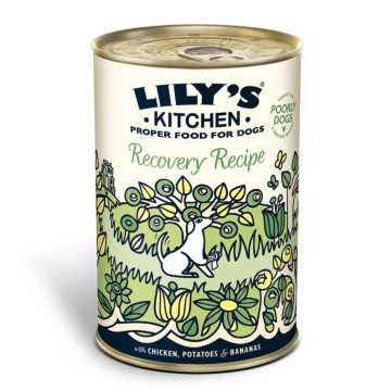 Lilys Kitchen Dog Wet Food - Recovery Recipe - Chicken Potatoes & Bananas 400g