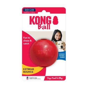Kong Dog Toy - Ball