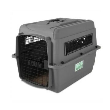 Petmate Sky Vari Kennel (IATA Standard) - Small (Up to 15lbs) - L21" x W16" x H15"