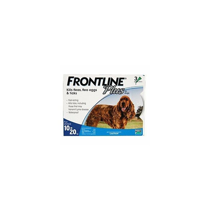 what is the longest lasting flea treatment for dogs