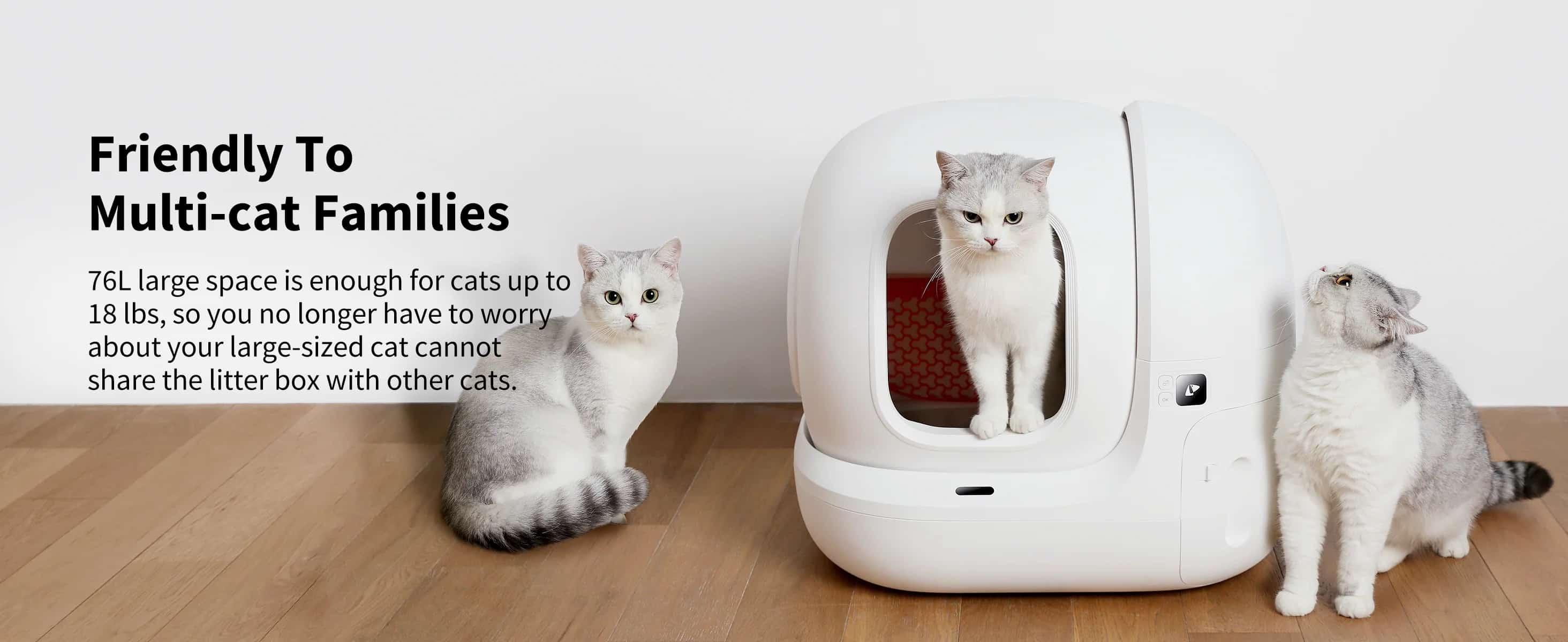 Self cleaning clearance litter box 2019